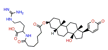 3-(N-Pimeloyl argininyl)-bufalin